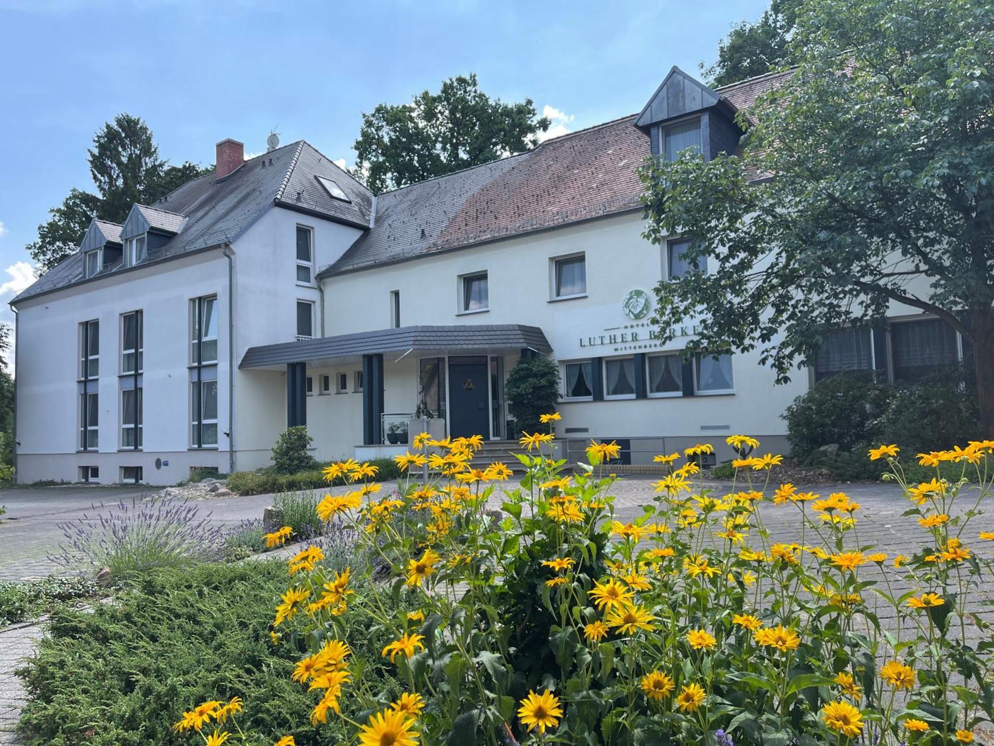 Hotel Luther Birke Wittenberg المظهر الخارجي الصورة