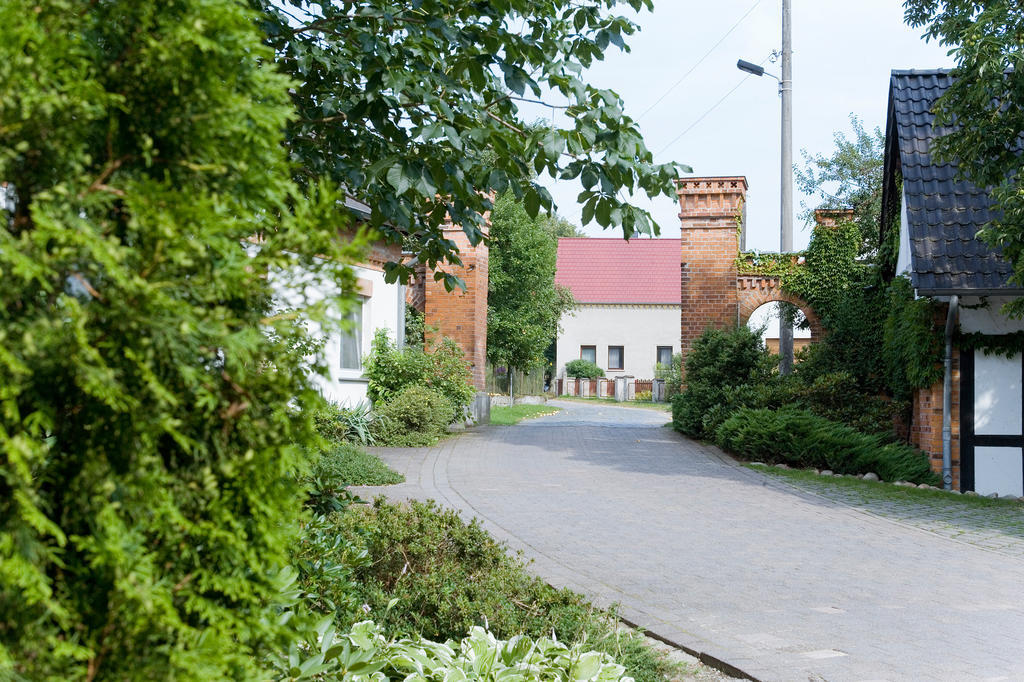 Hotel Luther Birke Wittenberg المظهر الخارجي الصورة